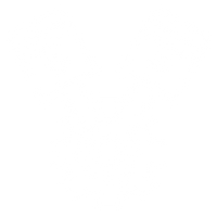 icon_policy