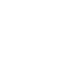 icon_policy