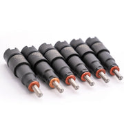 Dodge Cummins 98.5-02 24v Clean Custom Series Injector Set
